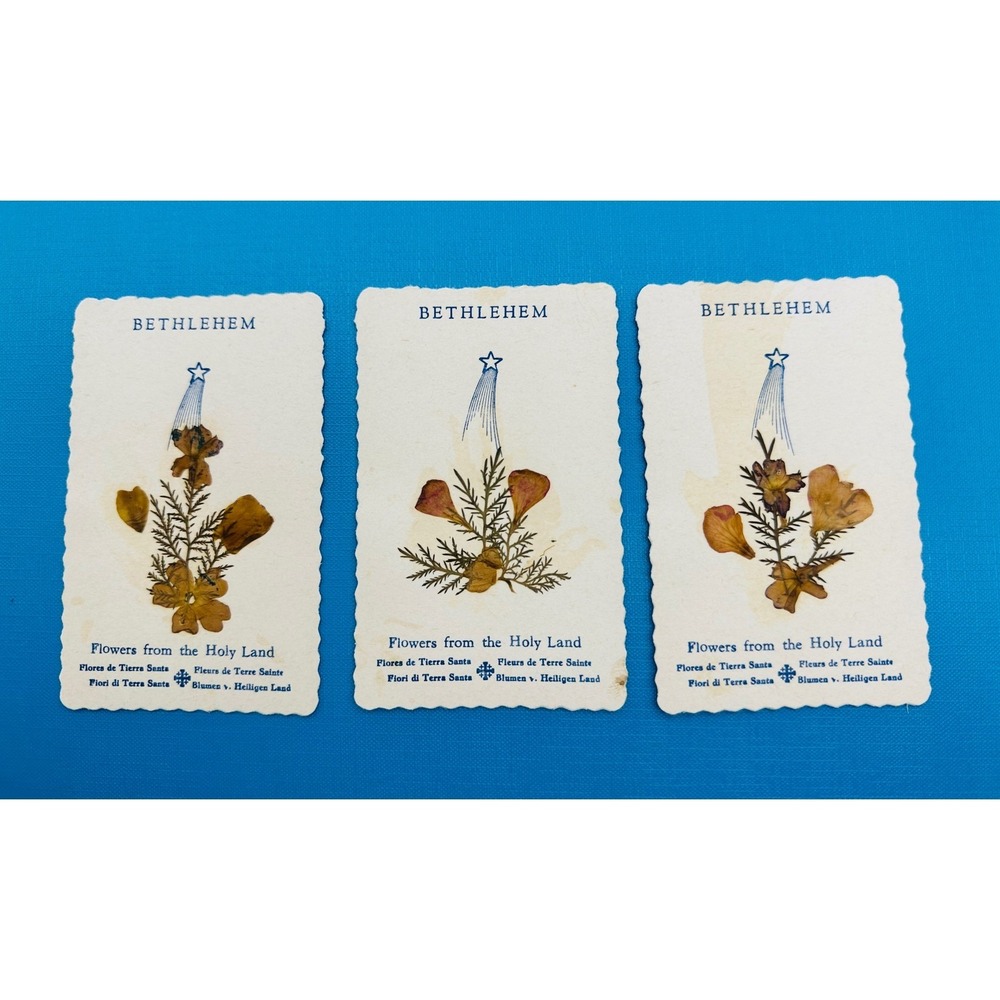 Vintage Bethlehem Pressed Flowers from the Holy Land Cards Set of 3 Botanical